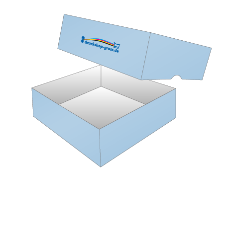 Faltschachteln & Verpackungen